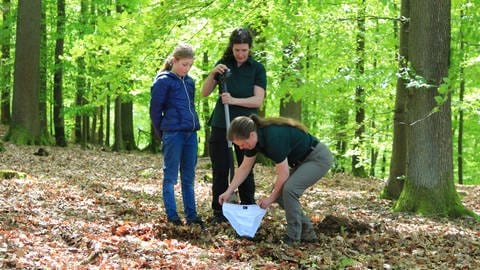 Zwei Frauen und ein Mädchen vergraben eine weiße Unterhose im Wald