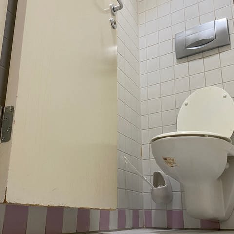 Toilette Schmiererei Leibniz-Schule Neustadt Symbolbild (Foto: SWR)