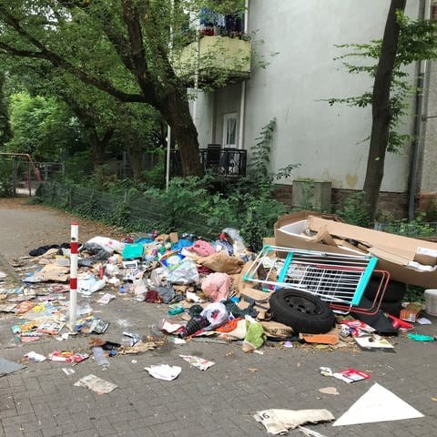 Ein großer Haufen Müll liegt im Hemshof in Ludwigshafen vor einem Spielplatz (Foto: SWR)