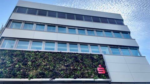 Begrünte Fassade der Sparkasse in Trier. Die Bürgerinitiative wirft dem Geldinstitut Greenwashing vor.  (Foto: SWR)