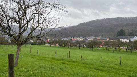 Auf diesem Grundstück in Ralingen sollen mehrere Bauprojekte umgesetzt werden.