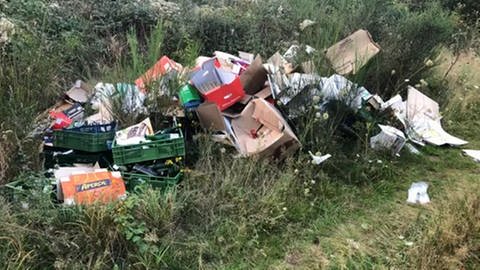 Immer mehr Müll wird in den Revieren in den Wäldern rund um Trier gefunden 
