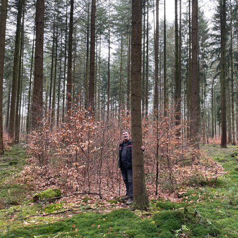 Burkhard Pickan freut sich darüber, dass zwischen den Douglasien in Wolsfeld mittlerweile ein Mischwald heranwächst.  (Foto: SWR, Christian Altmayer )