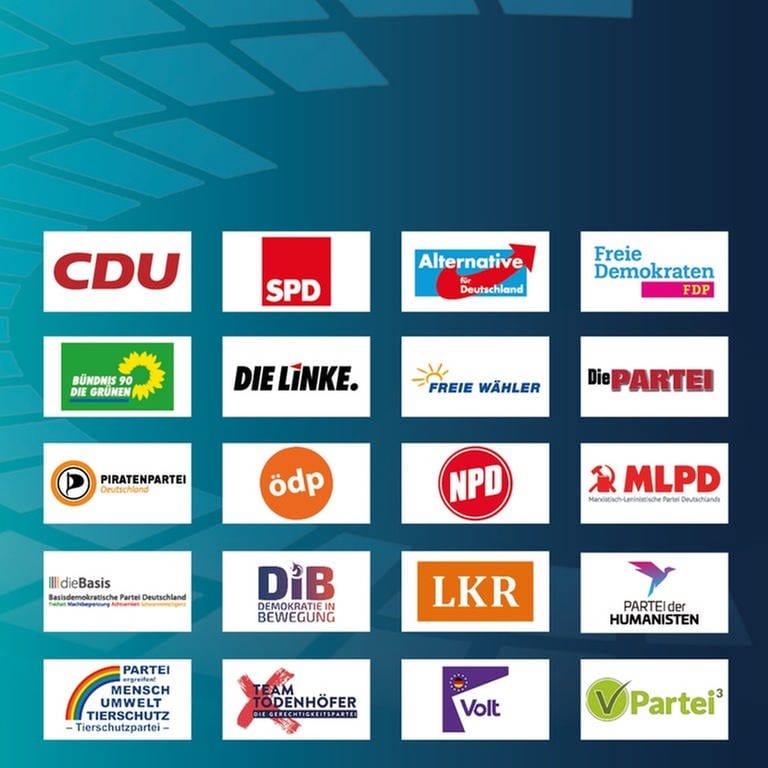 Die 20 Logos der Parteien in Rheinland-Pfalz, die bei der Bundestagswahl antreten