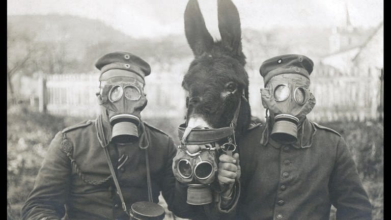 Tiere im Krieg  Deutsche Soldaten mit Esel und Gasmaske im 1. WK