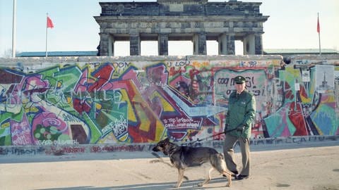 Bilder zum Artikel "Der Schäferhund"  (Foto: IMAGO, imago/teutopress)