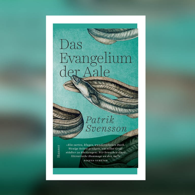 Patrik Svensson - Evangelium der Aale (Foto: Hanser Verlag)