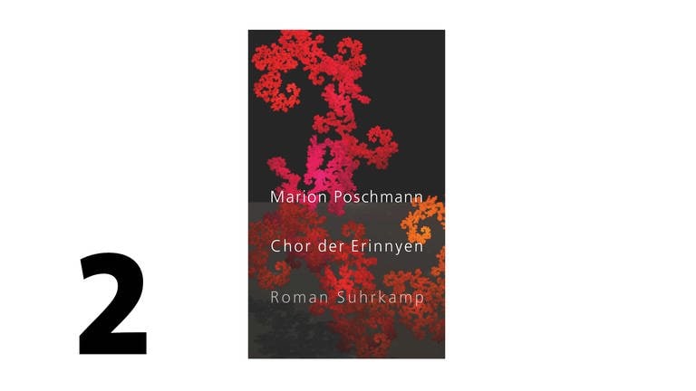 Cover des Buches Marion Poschmann: Chor der Erinnyen