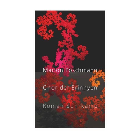 Cover des Buches "Chor der Erinnyen" von Marion Poschmann