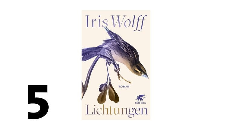 Cover des Buches "Lichtungen" von Iris Wolff