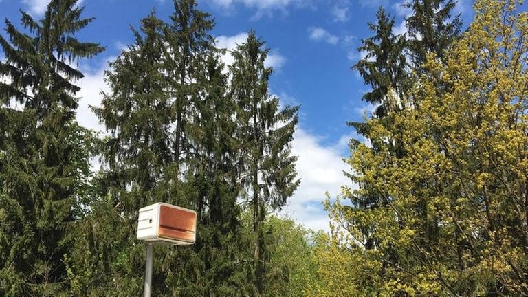 Lautsprecher im Schwarzwald (Foto: SWR, Matt Wand)