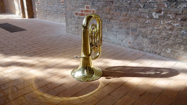 Die Tuba, das Instrument des Jahres 2024 (Foto: IMAGO, Shotstop)