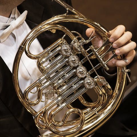 Kammerkonzert Horn (Foto: Colourbox, colourbox)