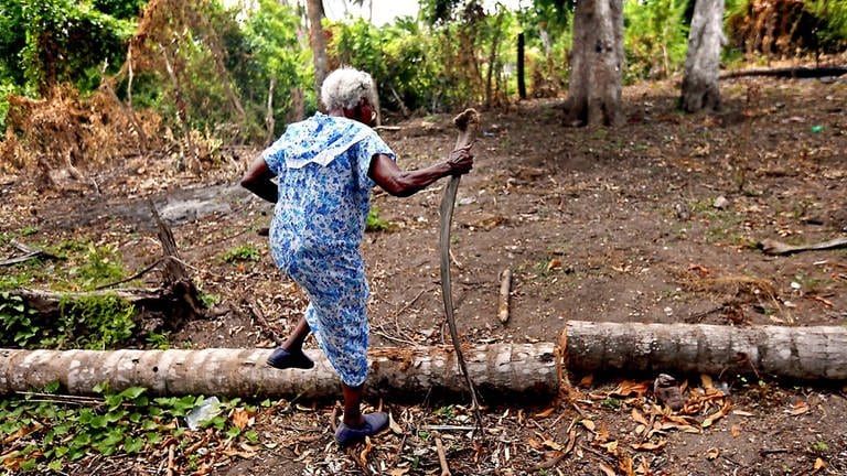Im Juni 2017, rund neun Monate, nachdem der Hurrikan Matthew das Gebiet heimgesucht hat, geht Vanette Joseph, 91, eine Landwirtin in Lan Gommier  Haiti, durch ihr zerstörtes Grundstück. 100 Kokospalmen hat sie verloren.