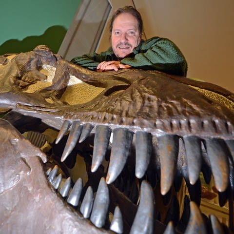 Der Dinosaurierforscher Eberhard "Dino" Frey im Staatlichen Museum für Naturkunde Karlsruhe am Schädelabguss eines Tyrannosaurus rex, eines Raubsauriers