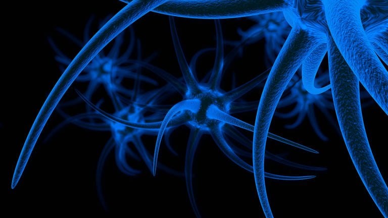 Modell einer Nervenzelle