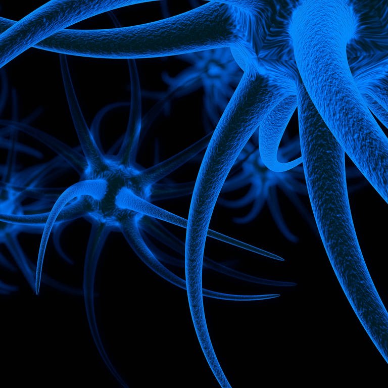 Modell einer Nervenzelle (Foto: IMAGO, mago images/Imaginechina-Tuchong)