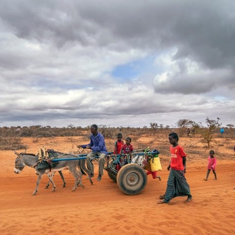 Eine Gruppe von Menschen erreicht 2022 ein Flüchtlingslager am Stadtrand von Dollow in Somalia. Somalia erlebte die schlimmste Dürre seit jeher. Mitverantwortlich ist der Klimawandel. (Foto: picture-alliance / Reportdienste, picture alliance / ASSOCIATED PRESS | Jerome Delay)