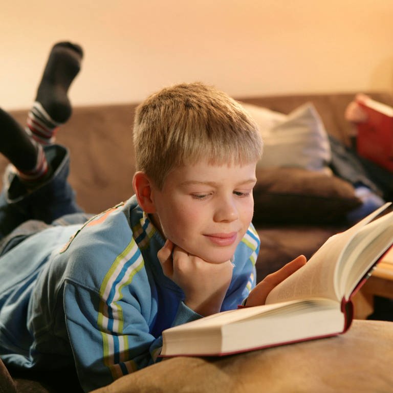 Zwei Jungen lesen auf dem Sofa Bücher: Viele Kinder lesen nicht gern – selbst, wenn ihnen zu Hause regelmäßig vorgelesen wurde.  (Foto: picture-alliance / Reportdienste, picture alliance / imageBROKER | Jochen Tack)