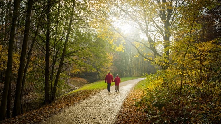 Seniorenpaar beim Herbstspaziergang durch den Wald