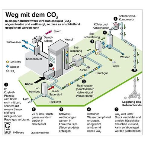 Infografik zu dem Verlauf von "Carbon Capture and Storage": die Abscheidung von Kohlendioxid aus Abgasen von mit Kohle befeuerten Kraftwerken und deren unterirdische Lagerung (Foto: dpa Bildfunk, dpa-infografik)