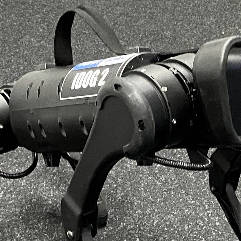 Roboterhund mit Sensorik