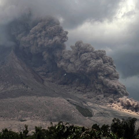 Vulkanaussbruch Auslöser für Massenaussterben