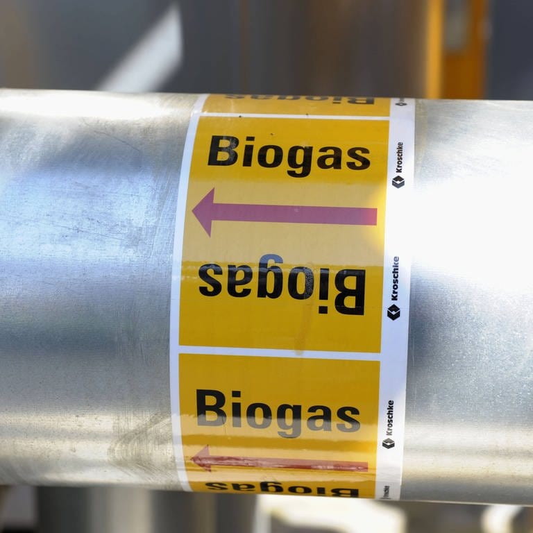 Biogas lässt sich auch besser speichern als Sonnen- oder Windenergie und ist unabhängig vom Wetter.