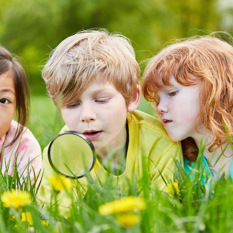 Drei Kinder erforschen neugierig die Natur mit einer Lupe.