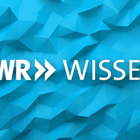 SWR Wissen Logo für die Über uns Seite  (Foto: SWR)