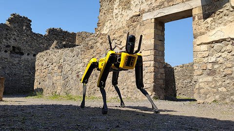 Der Roboter Hund "Spot" wird in Pompeii schon eingesetzt, um das Weltkulturgut zu schützen. Er kann auch auf unebenen Straßen laufen | Spot in Pompeii