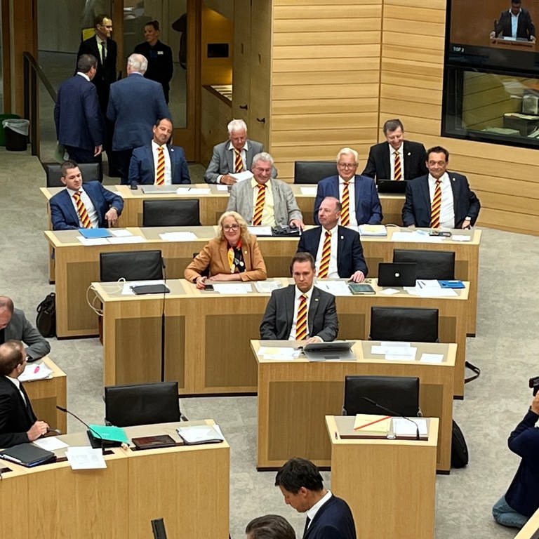 Mitglieder der AfD-Fraktion sitzen mit Krawatten in den Farben der Deutschland-Flagge bei einer Landtagsdebatte im Plenarsaal des Landtags von Baden-Württemberg. Vorn sitzt der Fraktionsvorsitzende Anton Baron.