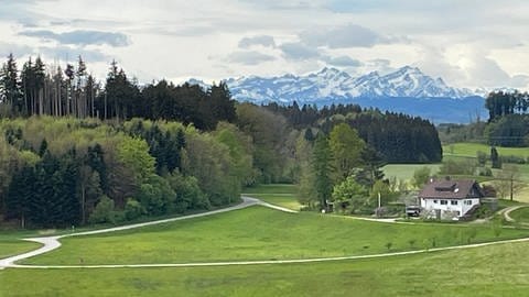 Blick auf die grüne, hügelige Allgäulandschaft, im Hintergrund die Alpen.