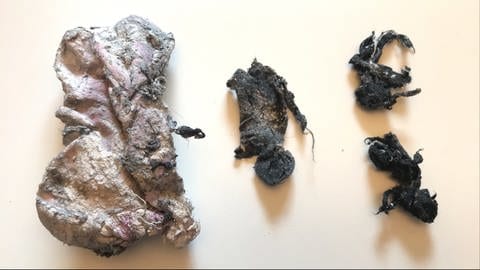 Waschmaschinenarchäologie: Links eine mumifizierte Damensocke. Die spärlichen Gewebereste rechts davon konnten nach detaillierter Untersuchung zwei seit der letzten Eiszeit vermissten Herrensocken zugeordnet werden. 