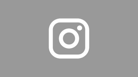 swr icon instagram grau (Foto: SWR)