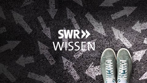 Logo "SWR Wissen" (Foto: SWR)