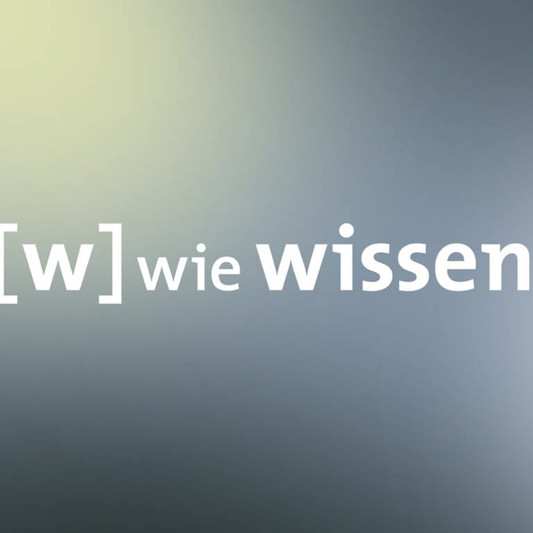 Logo W wie Wissen (Foto: ard-foto s2-intern/extern)