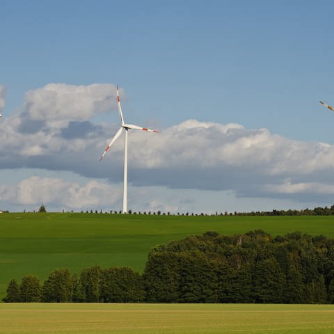Verhinderte Windkraft (Foto: Colourbox)