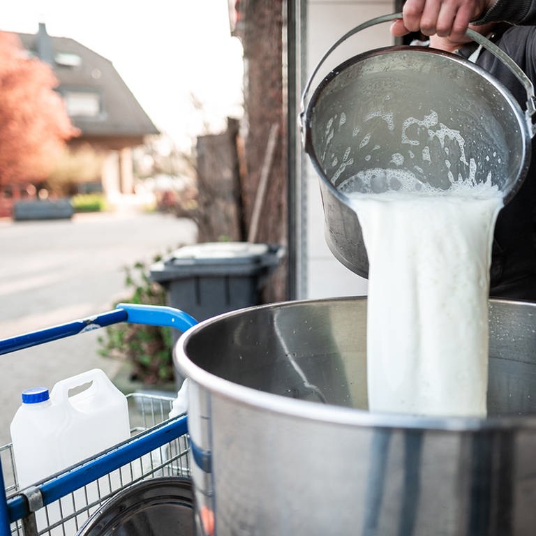 Rohmilch wird in einen grpßen Bottich gefüllt.