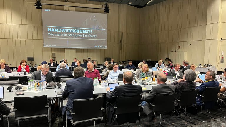 Landesrundfunkratssitzung Baden-Württemberg März 2023 (Foto: SWR)