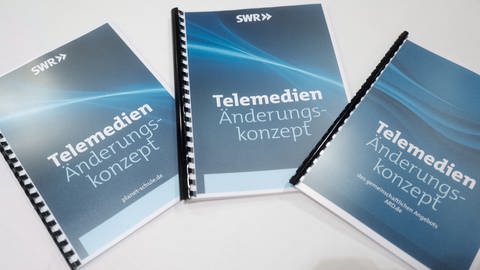 Telemedienänderungskonzepte zu planet-schule.de, SWR Telemedien und ARD.de (Foto: SWR, Markus Palmer)