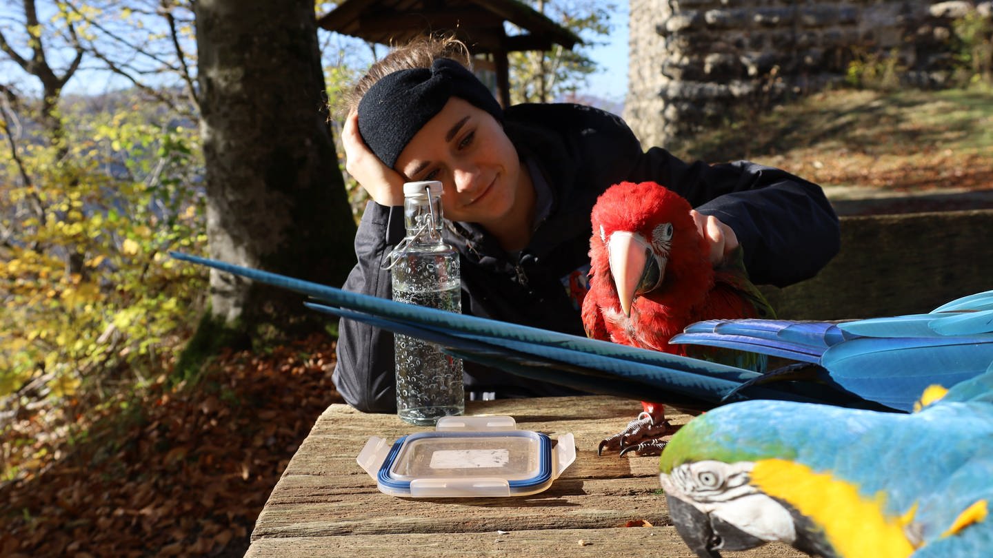 Anke entspannt am Tisch mit ihren 2 Papageien (Foto: SWR)