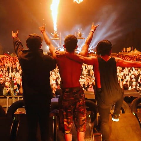 Drei Musiker von hinten, stehen auf der Bühne in Wacken, halten sich in den Armen, Publikum jubelt (Foto: SWR)