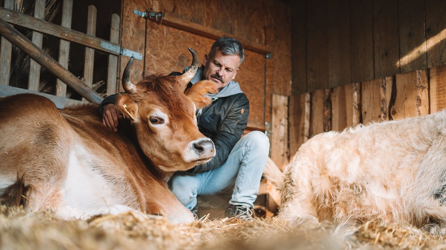 Mann kuschelt mit einer Kuh im Stroh (Foto: Fotograf: Tobias Arnold)