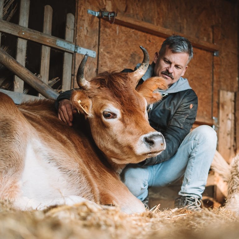 Mann kuschelt mit einer Kuh im Stroh (Foto: Fotograf: Tobias Arnold)