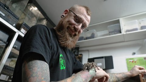 Junger Mann mit Spinne auf dem Arm (Foto: SWR)