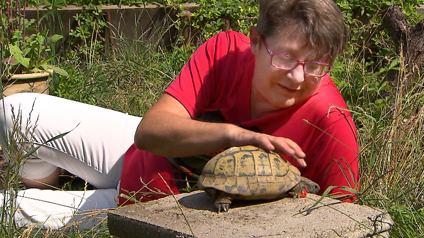 Rita Klein streichelt eine Schildkröte (Foto: SWR)