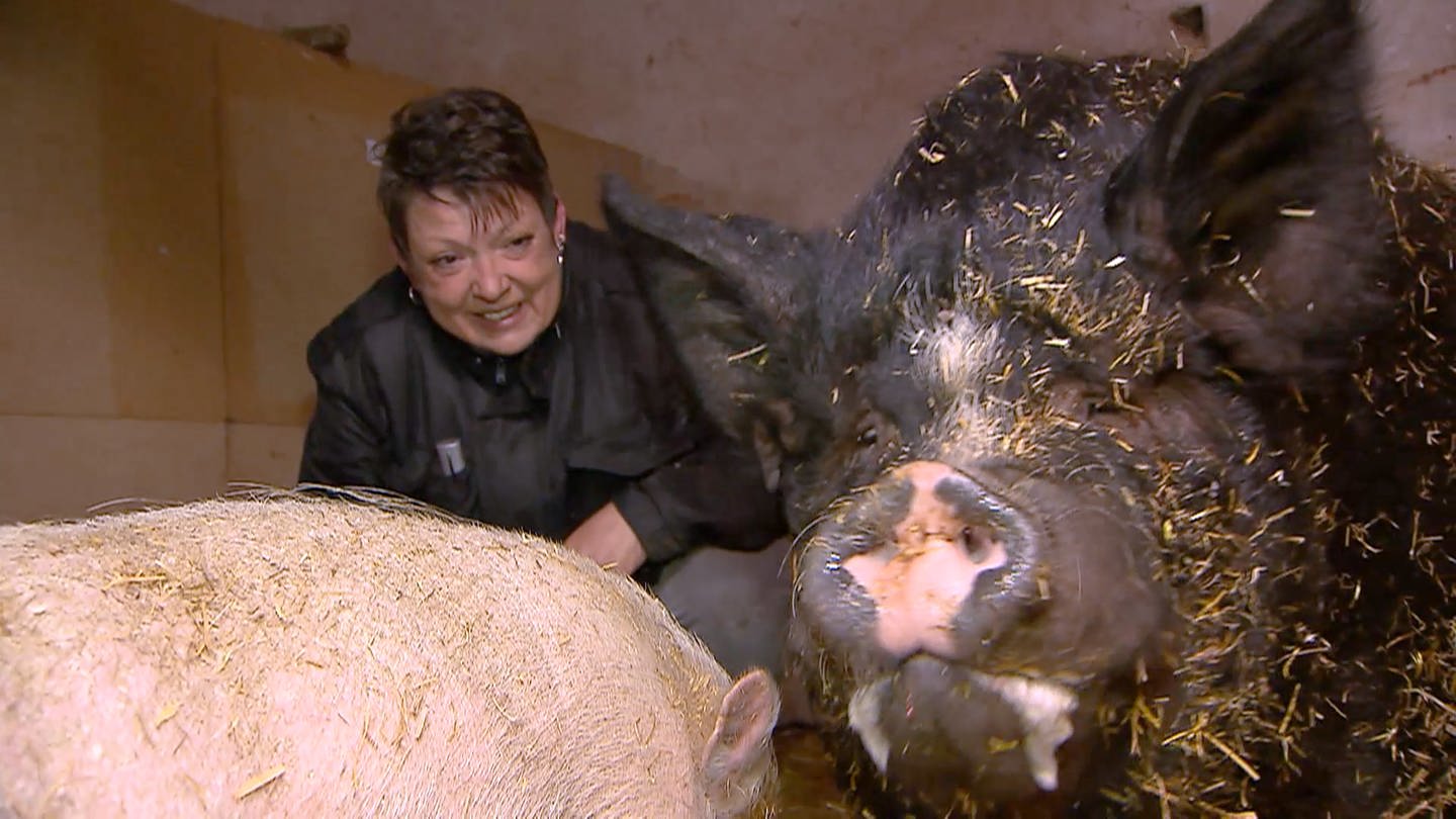 Silke Arnold rettet Schweine auf ihrem Hof in Imsweiler (Foto: SWR)