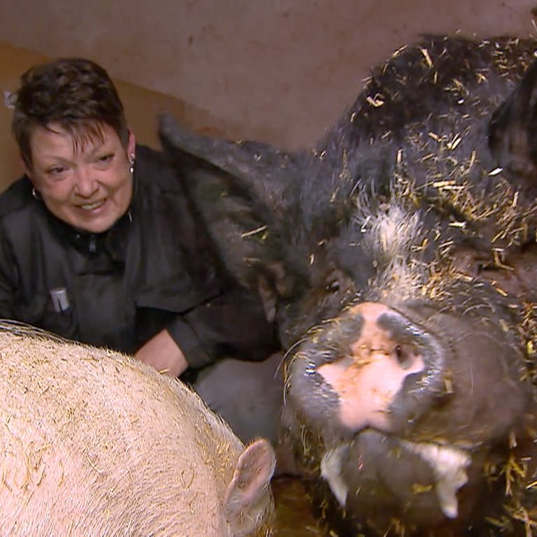 Silke Arnold rettet Schweine auf ihrem Hof in Imsweiler