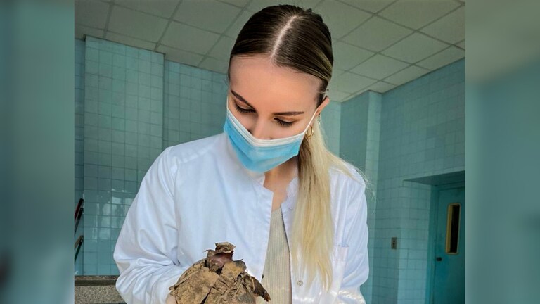 Junge Medizinstudentin seziert ein altes Herz. (Foto: SWR)